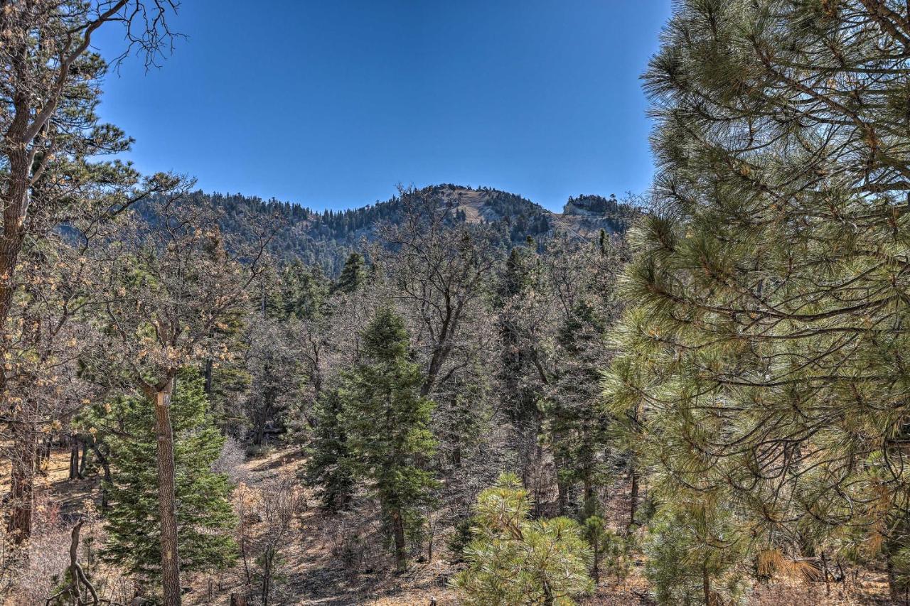 Chocolate Moose Cabin Short Walk To Slopes Villa Big Bear Lake Exterior foto