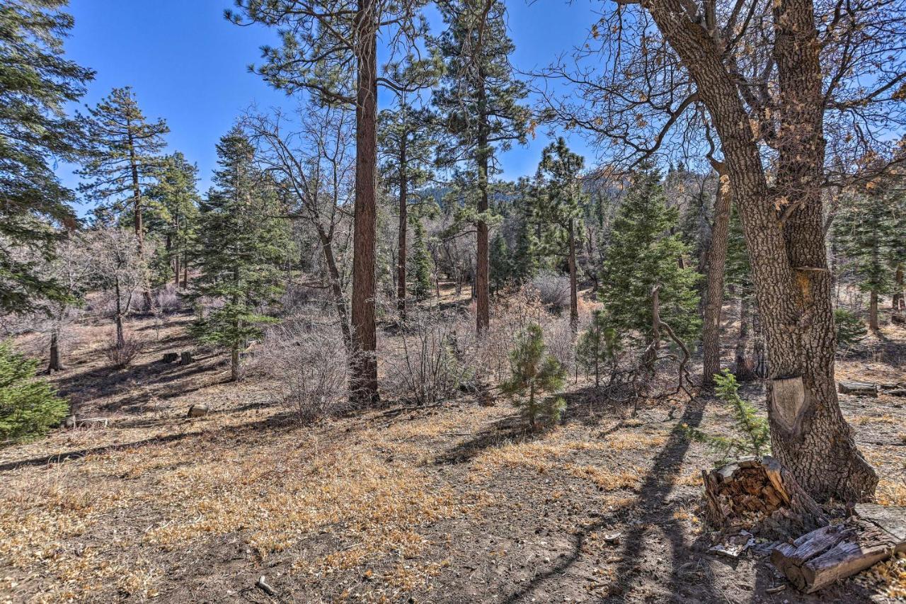 Chocolate Moose Cabin Short Walk To Slopes Villa Big Bear Lake Exterior foto