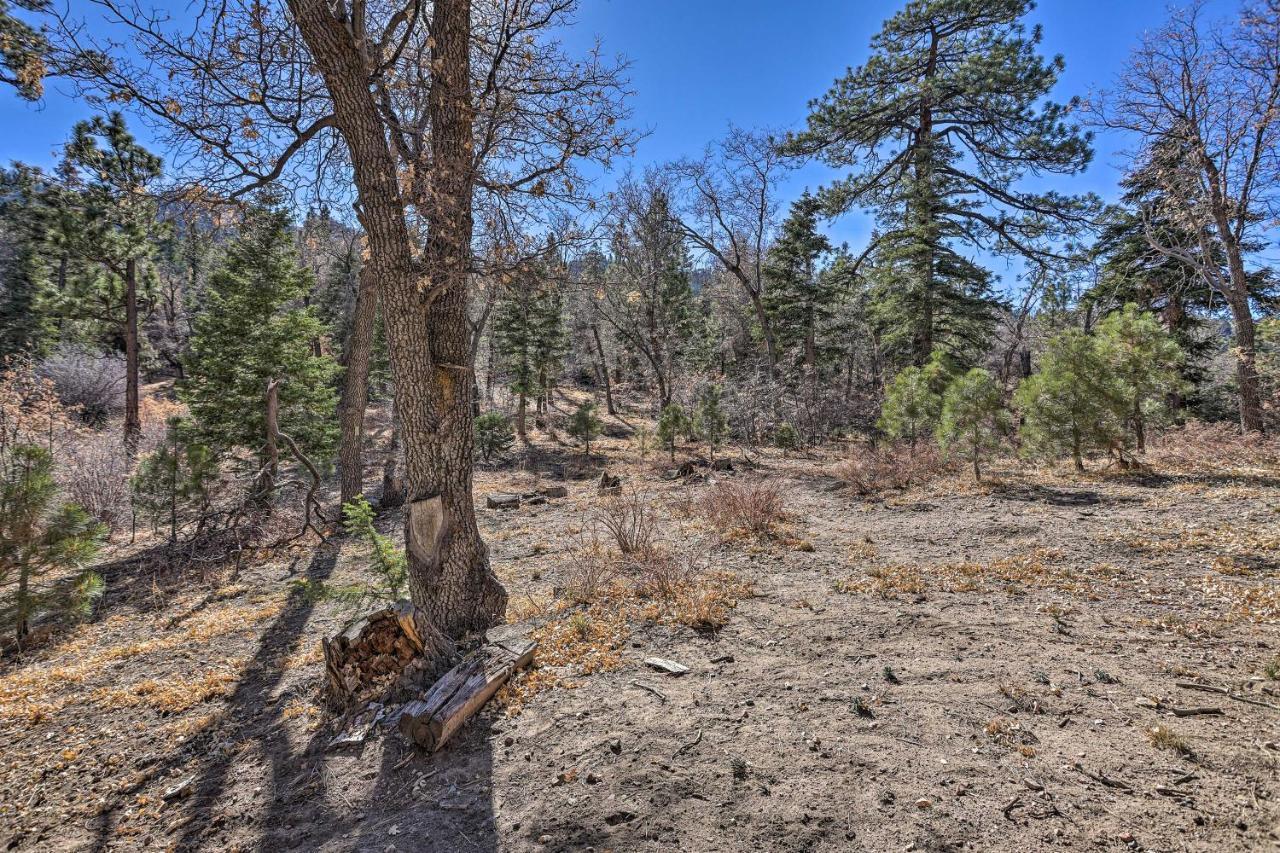 Chocolate Moose Cabin Short Walk To Slopes Villa Big Bear Lake Exterior foto